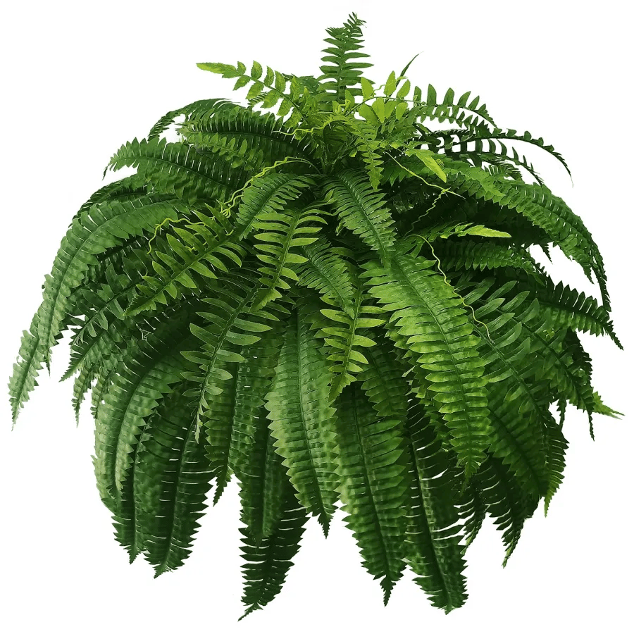 🔥2025 Mother's Day Gift🎁UV Resistant Lifelike Artificial Boston Fern☘️