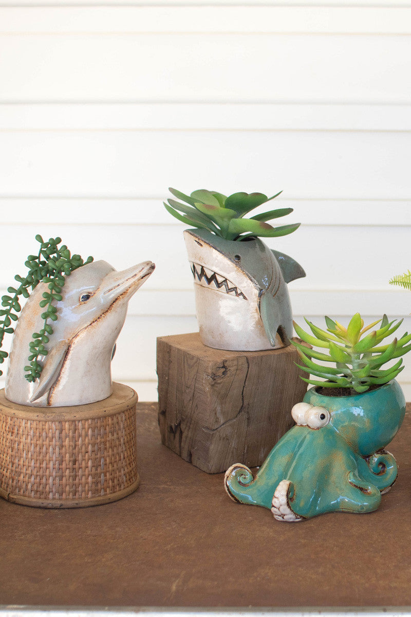 Ceramic Shark Planter