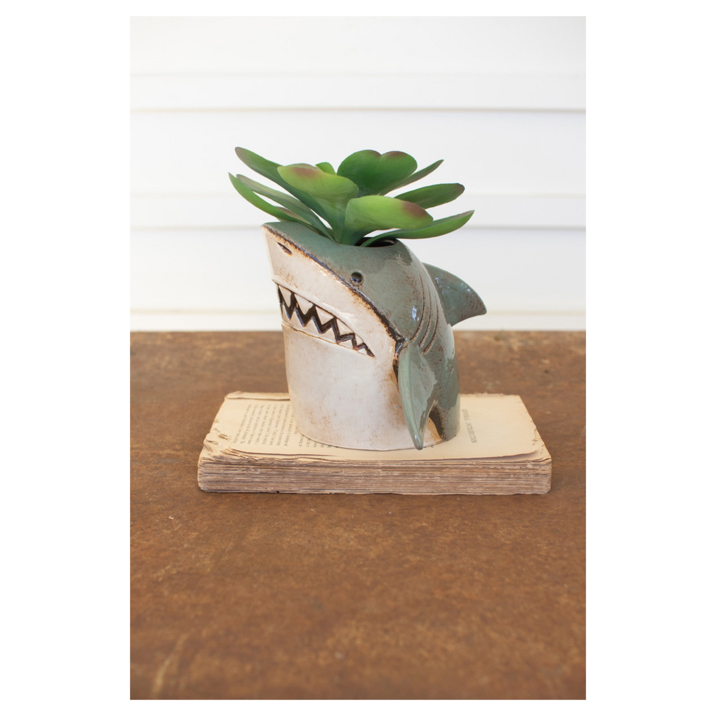 Ceramic Shark Planter